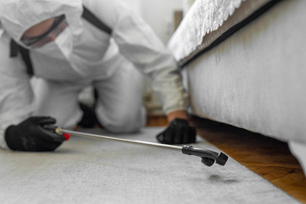 Professional Ant Control technician working in Minden, LA