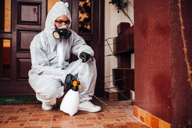 Reliable Ant Control contractor in Minden, LA by Nex Pest Control